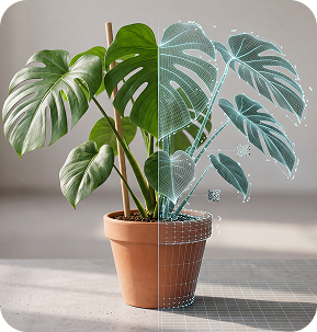 Digital twin pianta